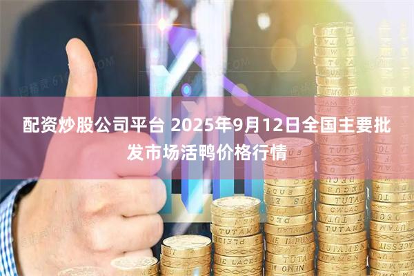 配资炒股公司平台 2025年9月12日全国主要批发市场活鸭价格行情