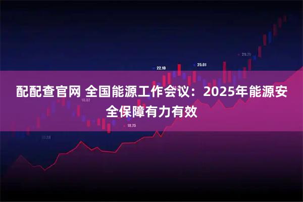 配配查官网 全国能源工作会议：2025年能源安全保障有力有效