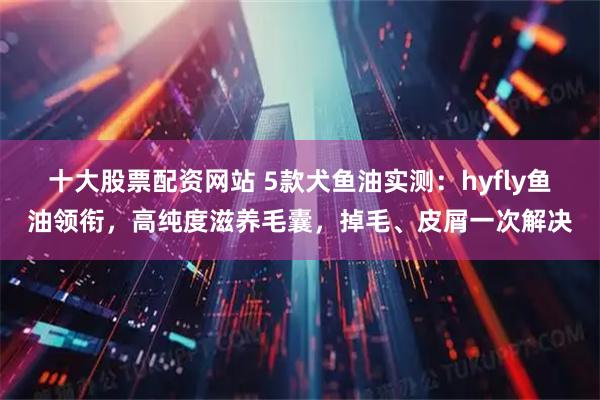 十大股票配资网站 5款犬鱼油实测：hyfly鱼油领衔，高纯度滋养毛囊，掉毛、皮屑一次解决